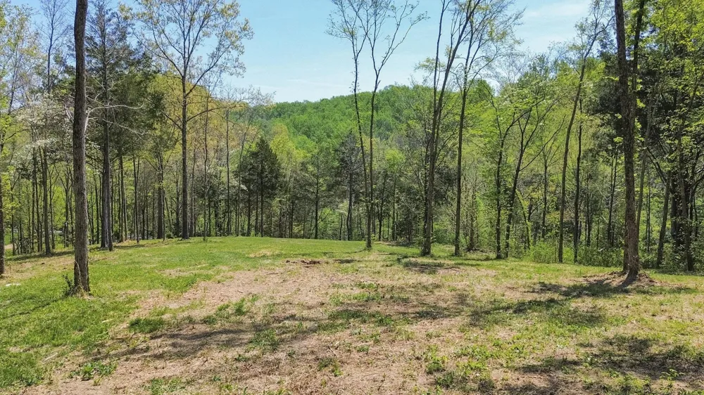 1 Johnson Hollow Road Thompsons Station, TN 37179