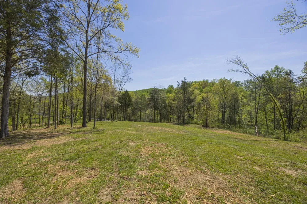 1 Johnson Hollow Road Thompsons Station, TN 37179