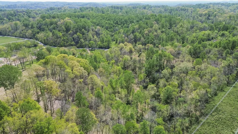 1 Johnson Hollow Road Thompsons Station, TN 37179
