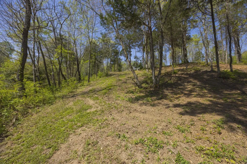1 Johnson Hollow Road Thompsons Station, TN 37179