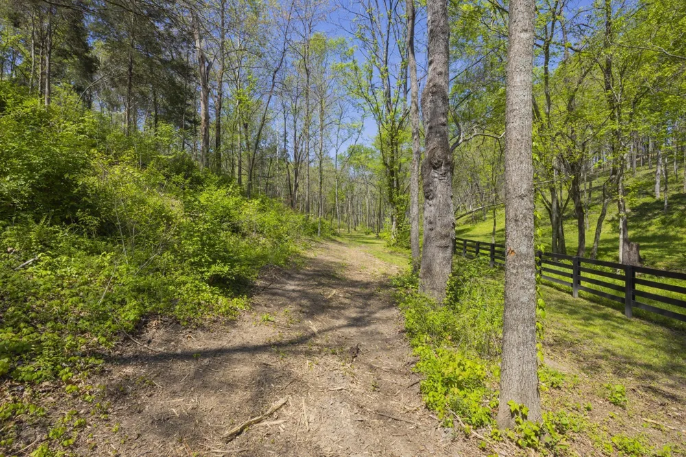 1 Johnson Hollow Road Thompsons Station, TN 37179