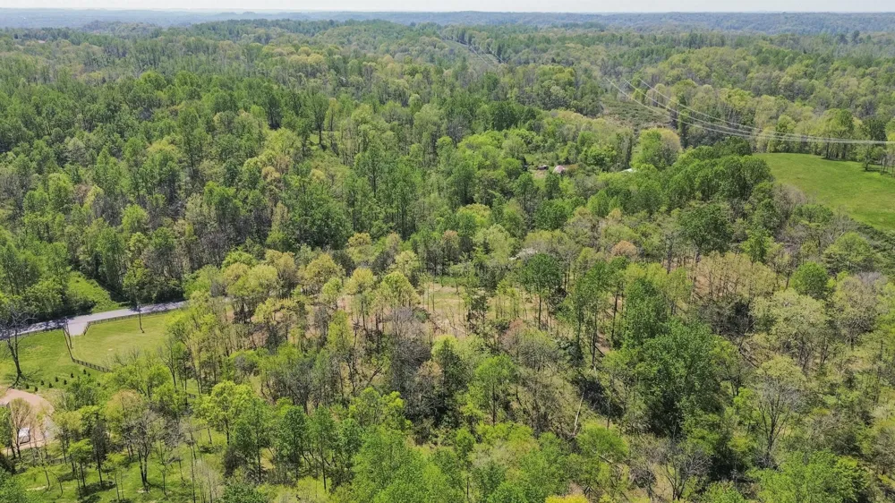 1 Johnson Hollow Road Thompsons Station, TN 37179