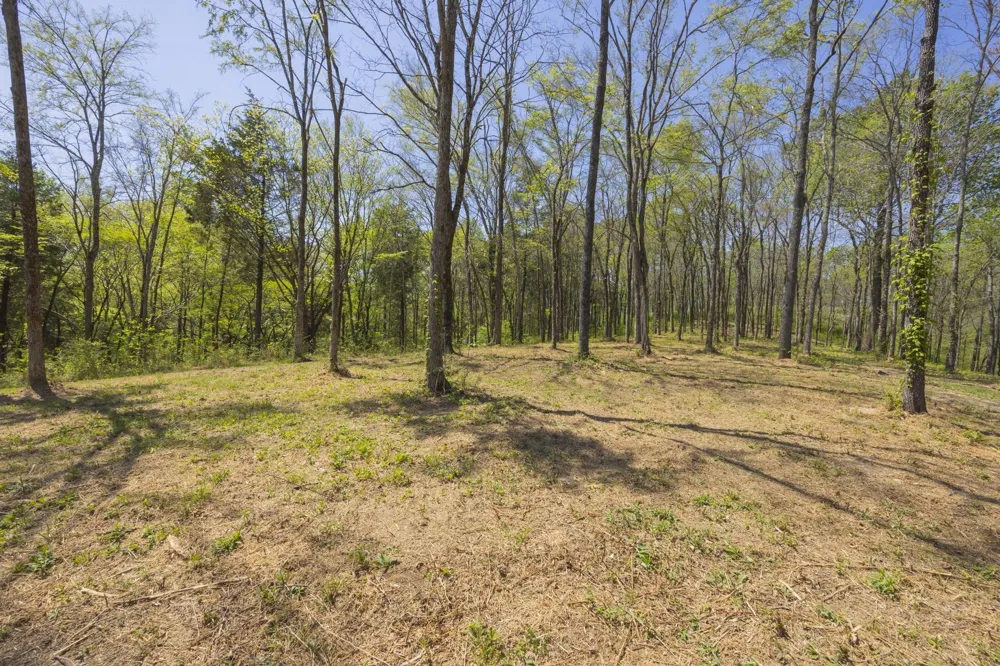 1 Johnson Hollow Road Thompsons Station, TN 37179