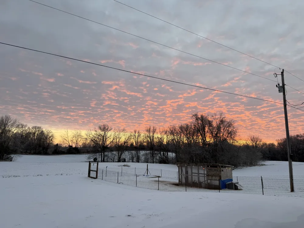 6026 Buzzard Creek Rd Cedar Hill, TN 37032