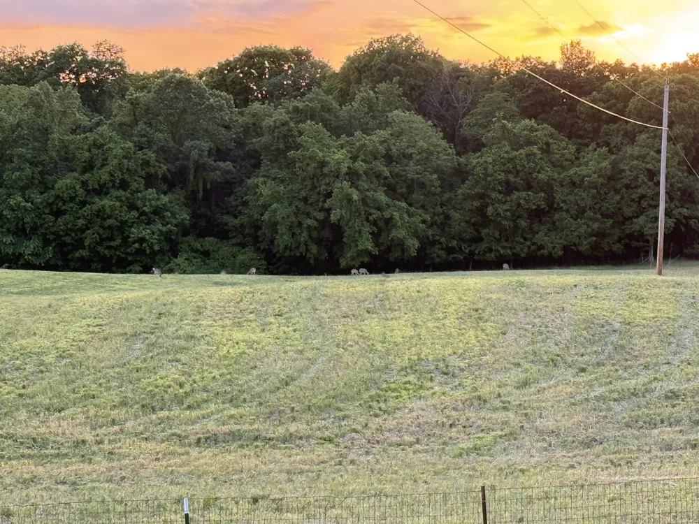 6026 Buzzard Creek Rd Cedar Hill, TN 37032