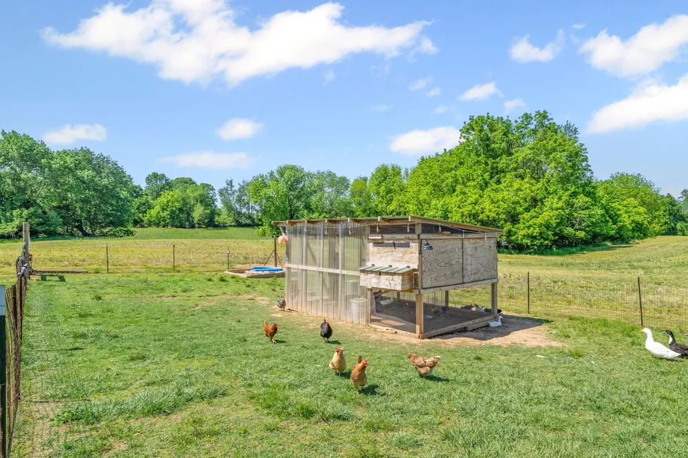 6026 Buzzard Creek Rd Cedar Hill, TN 37032