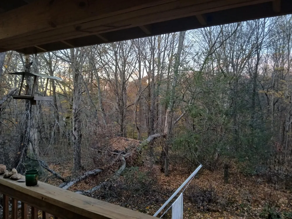 652 Gamaliel RD Red Boiling Springs, TN 37150