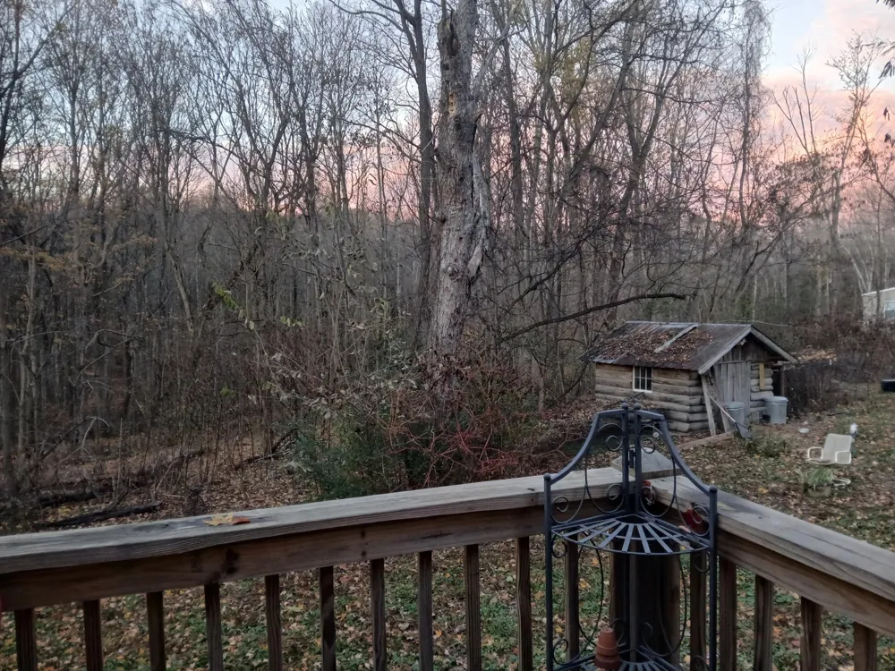 652 Gamaliel RD Red Boiling Springs, TN 37150