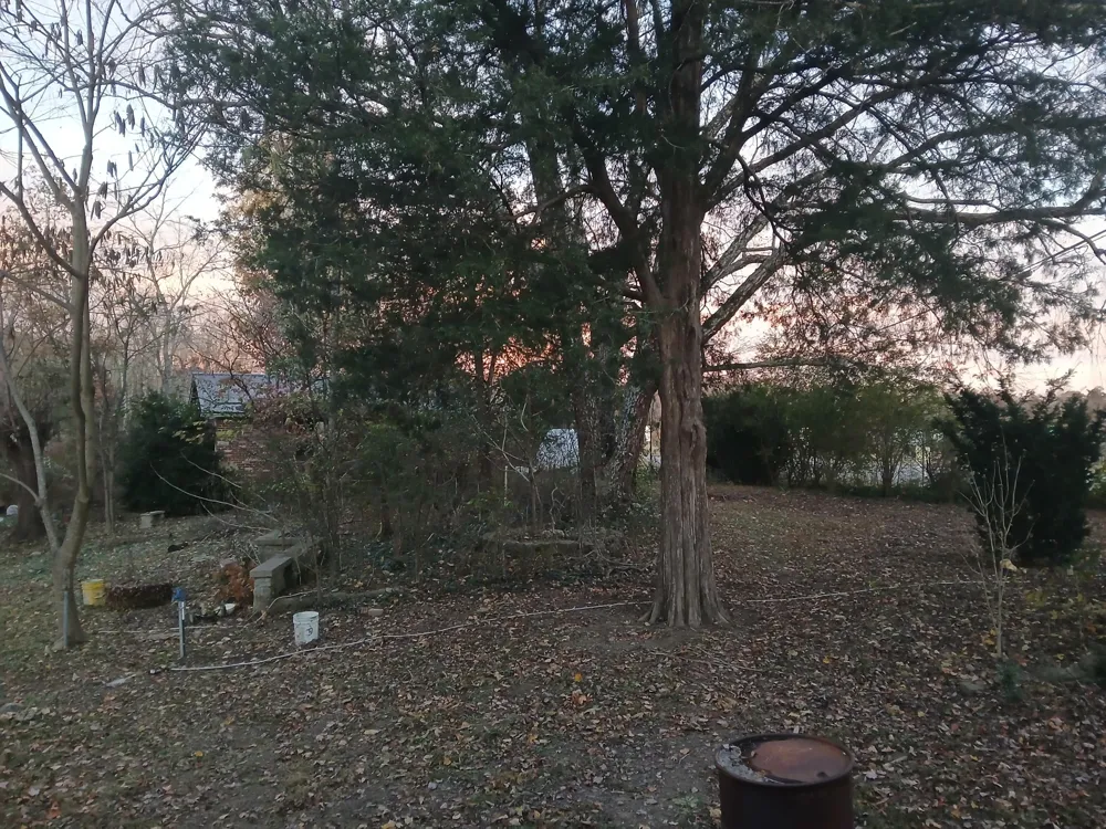 652 Gamaliel RD Red Boiling Springs, TN 37150