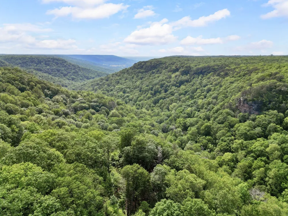 232 Hollingsworth Cove Rd Monteagle, TN 37356