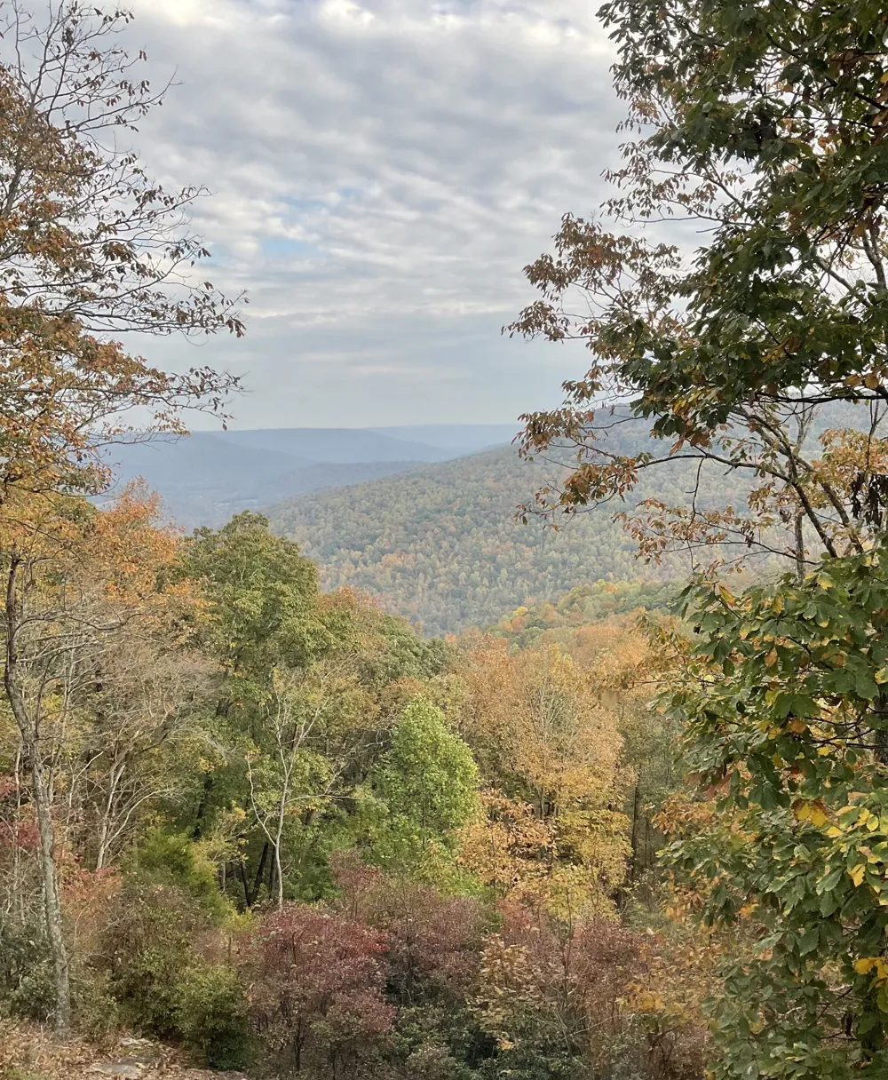 232 Hollingsworth Cove Rd Monteagle, TN 37356