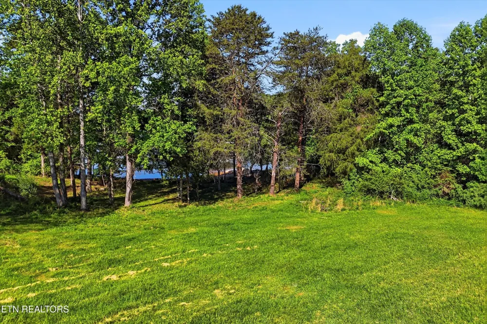 261 White Swan Drive Vonore, TN 37885
