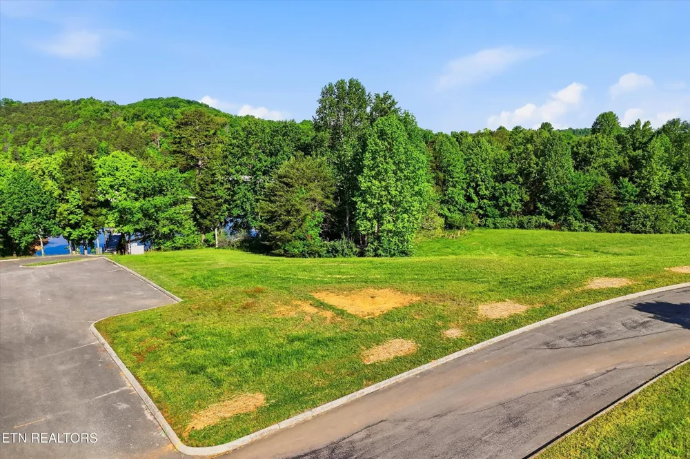 261 White Swan Drive Vonore, TN 37885