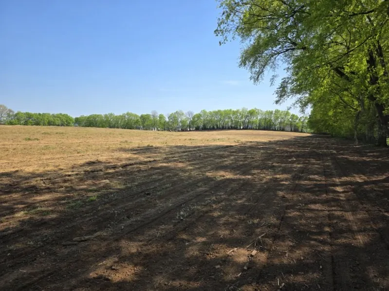 1 Old Zion Rd Columbia, TN 38401