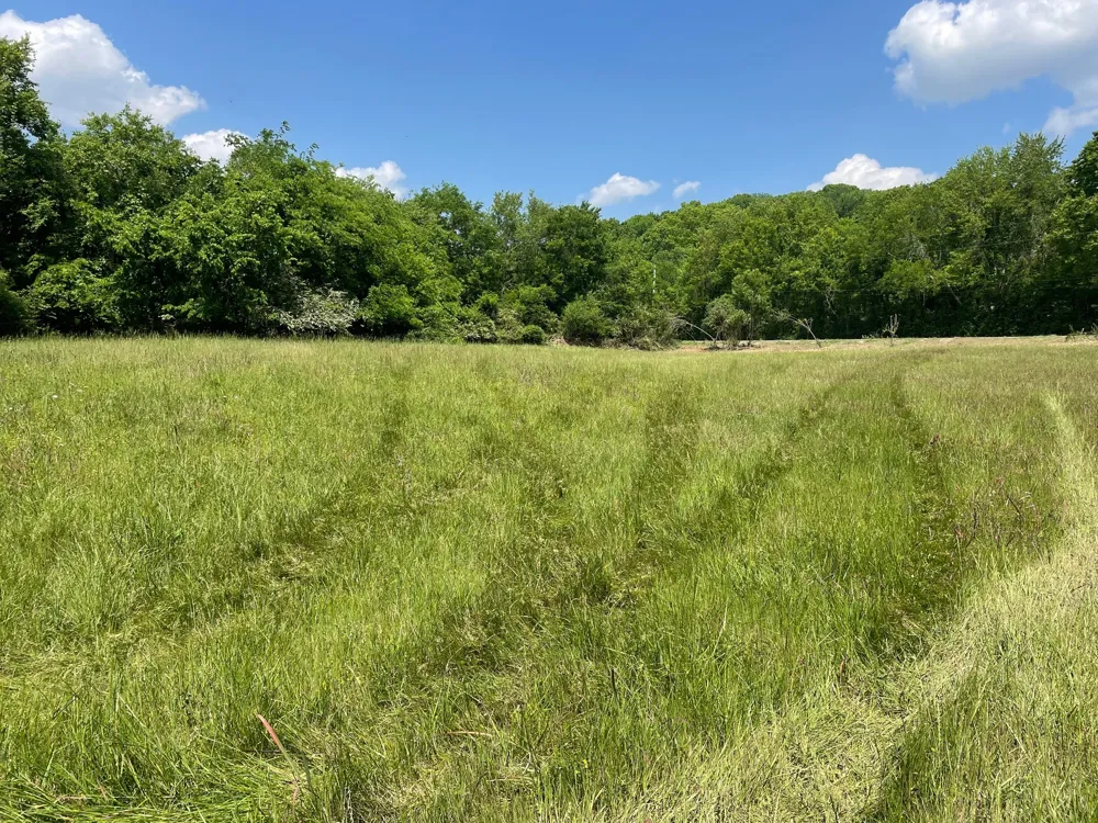 0 Maynard Lane Columbia, TN 38401