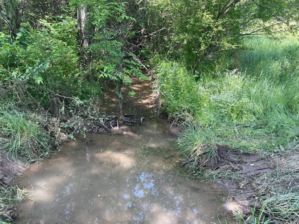 0 Maynard Lane Columbia, TN 38401