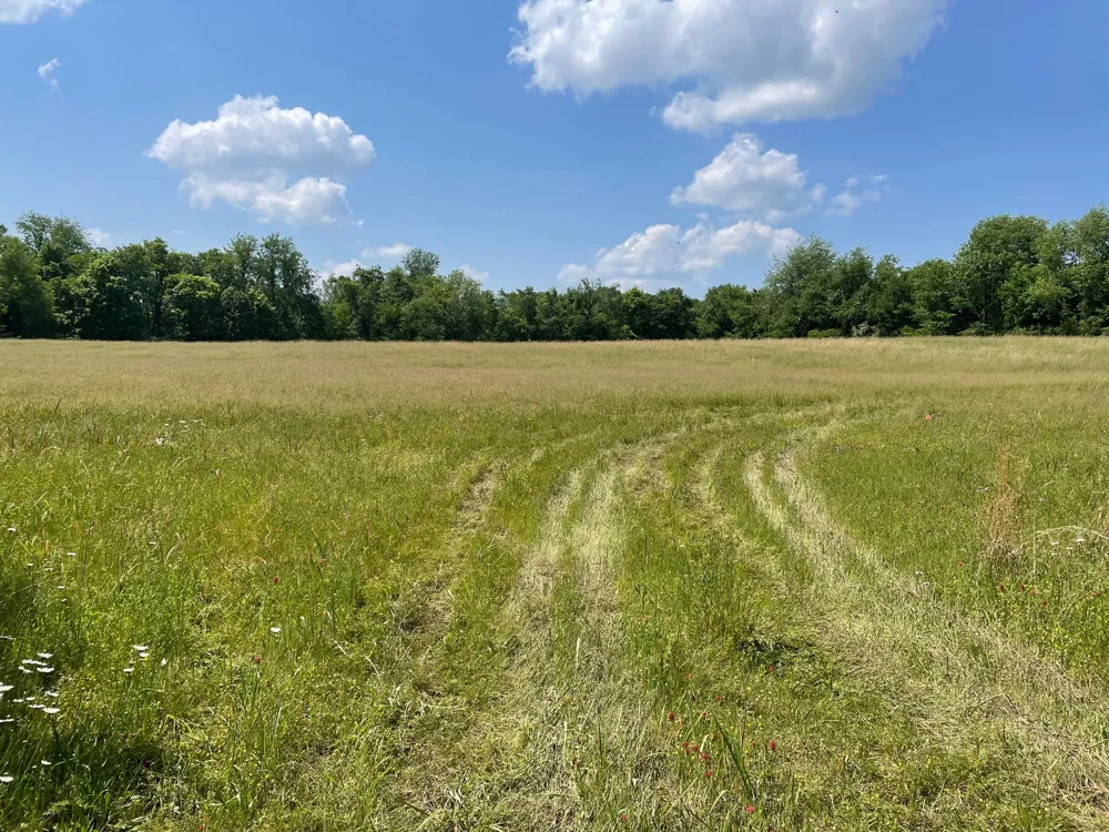 0 Maynard Lane Columbia, TN 38401