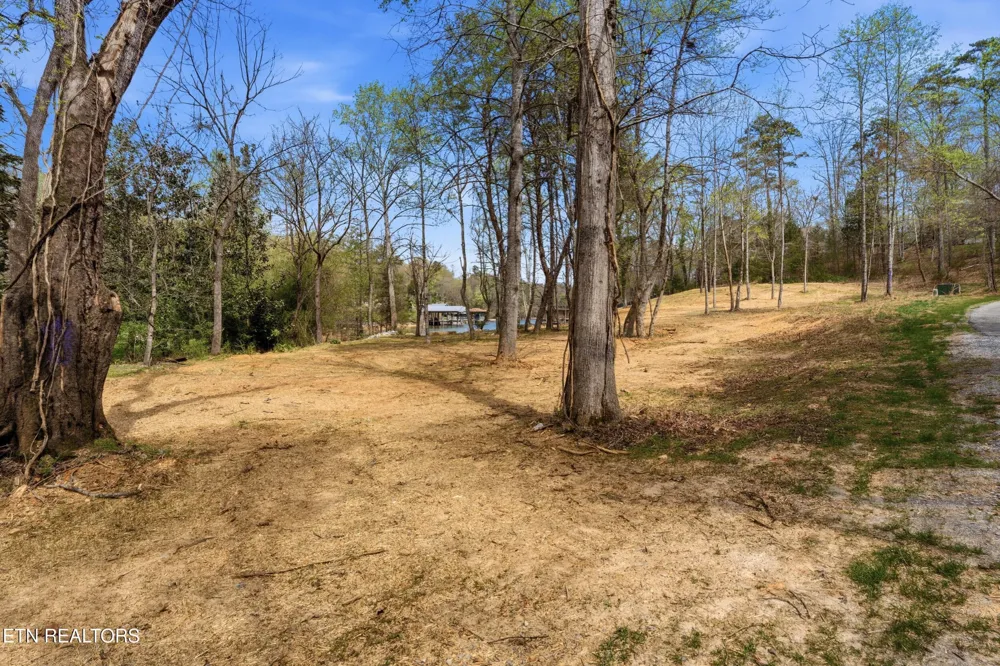 1750 Lakeland Dr aka 1 Headricks Co Lenoir City, TN 37772