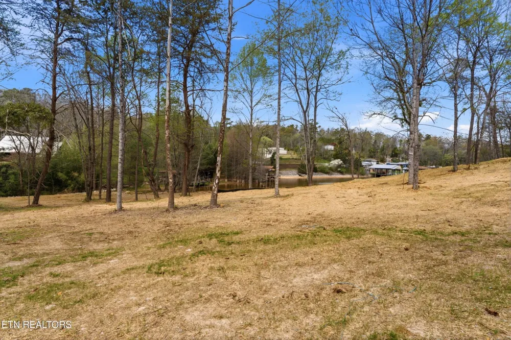 1750 Lakeland Dr aka 1 Headricks Co Lenoir City, TN 37772