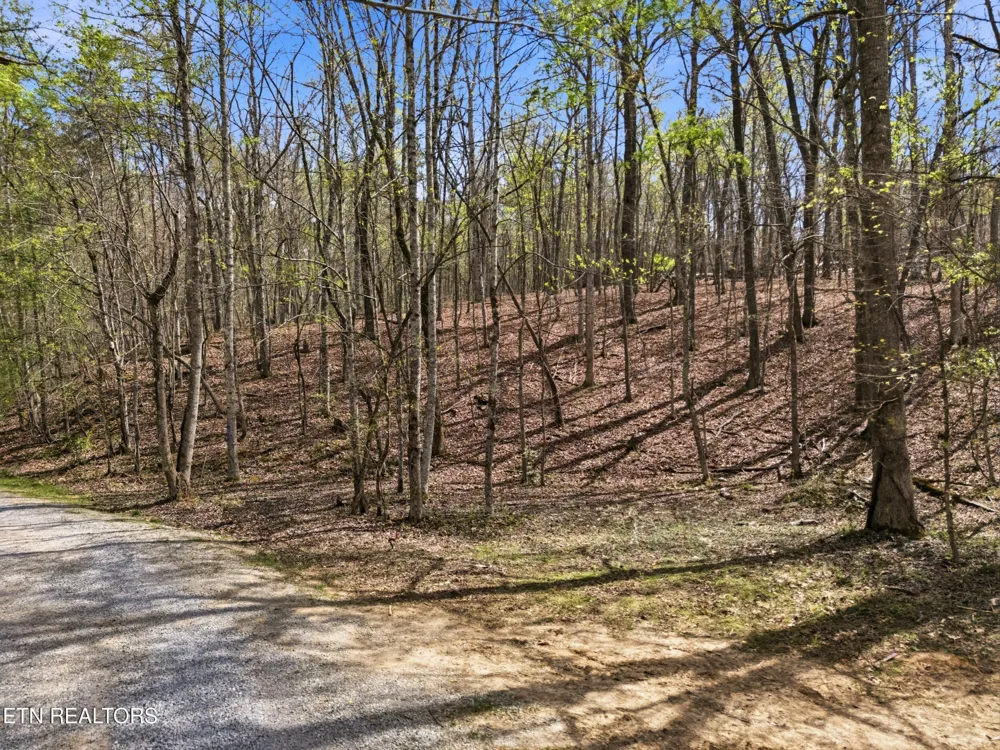1750 Lakeland Dr aka 1 Headricks Co Lenoir City, TN 37772