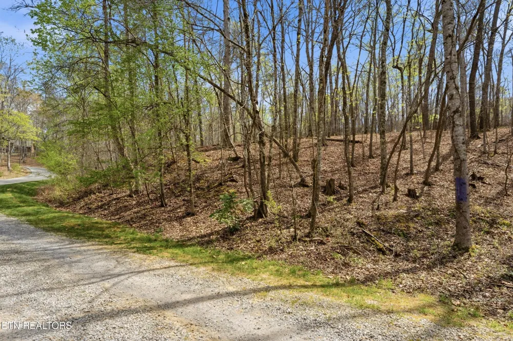 1750 Lakeland Dr aka 1 Headricks Co Lenoir City, TN 37772