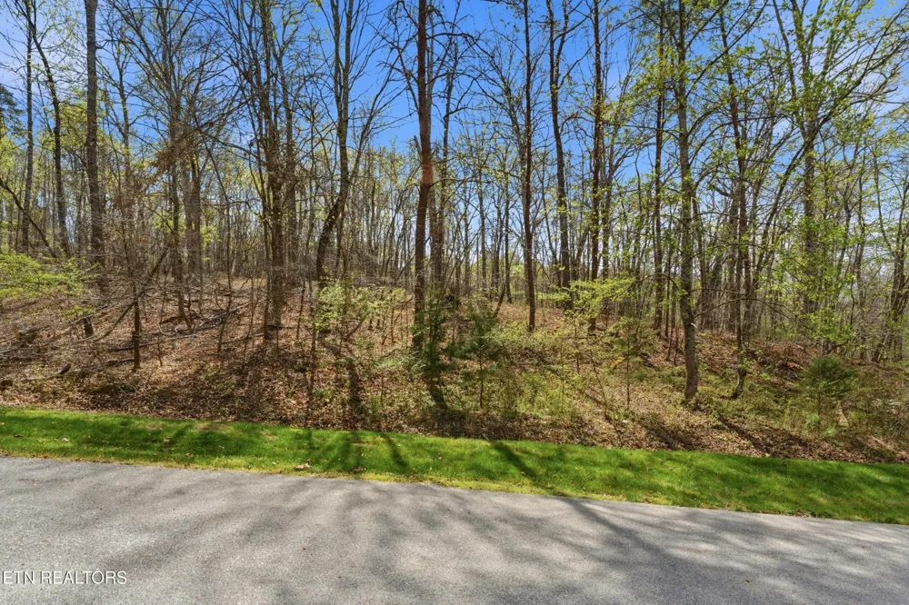 1750 Lakeland Dr aka 1 Headricks Co Lenoir City, TN 37772