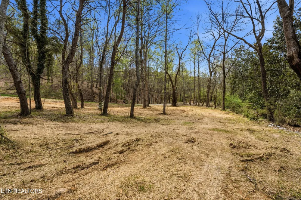 1750 Lakeland Dr aka 1 Headricks Co Lenoir City, TN 37772