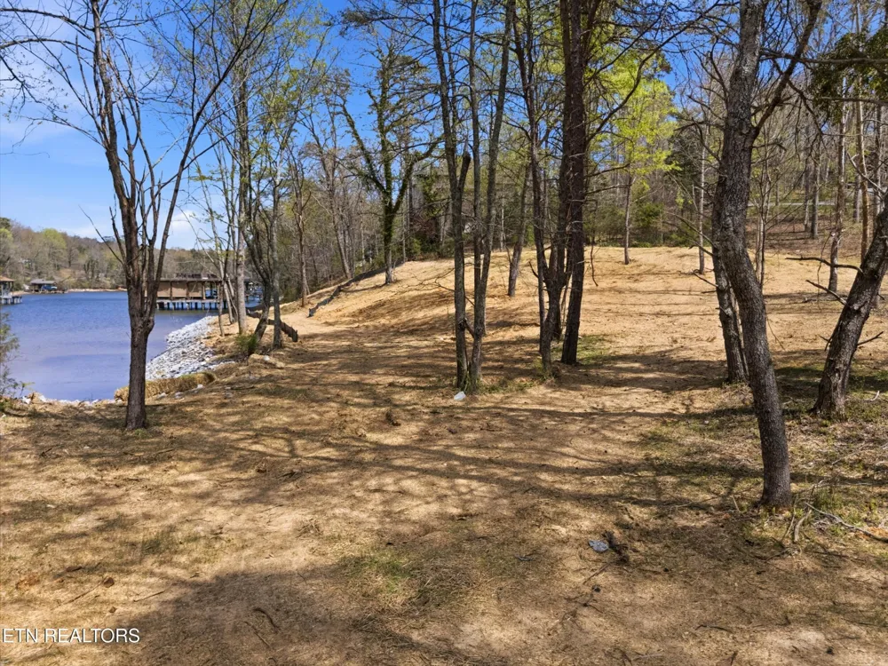 1750 Lakeland Dr aka 1 Headricks Co Lenoir City, TN 37772