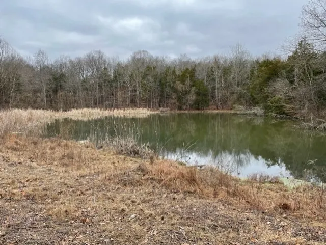 0 Hwy 64 Arnold Rd E Wartrace, TN 37183