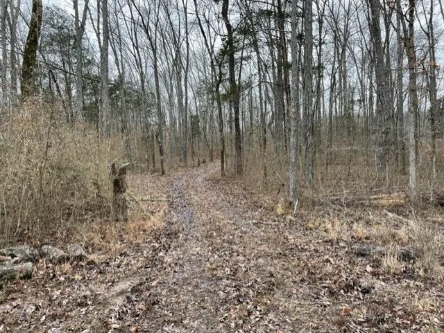 0 Hwy 64 Arnold Rd E Wartrace, TN 37183