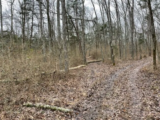 0 Hwy 64 Arnold Rd E Wartrace, TN 37183