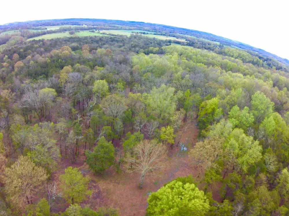 0 Hwy 64 Arnold Rd E Wartrace, TN 37183