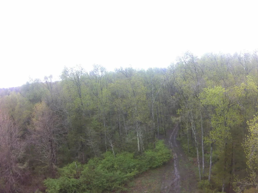 0 Hwy 64 Arnold Rd E Wartrace, TN 37183