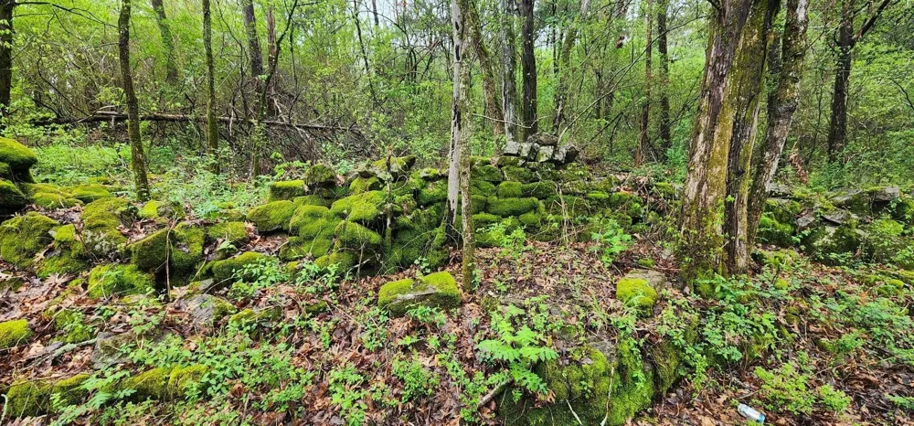 0 Hwy 64 Arnold Rd E Wartrace, TN 37183