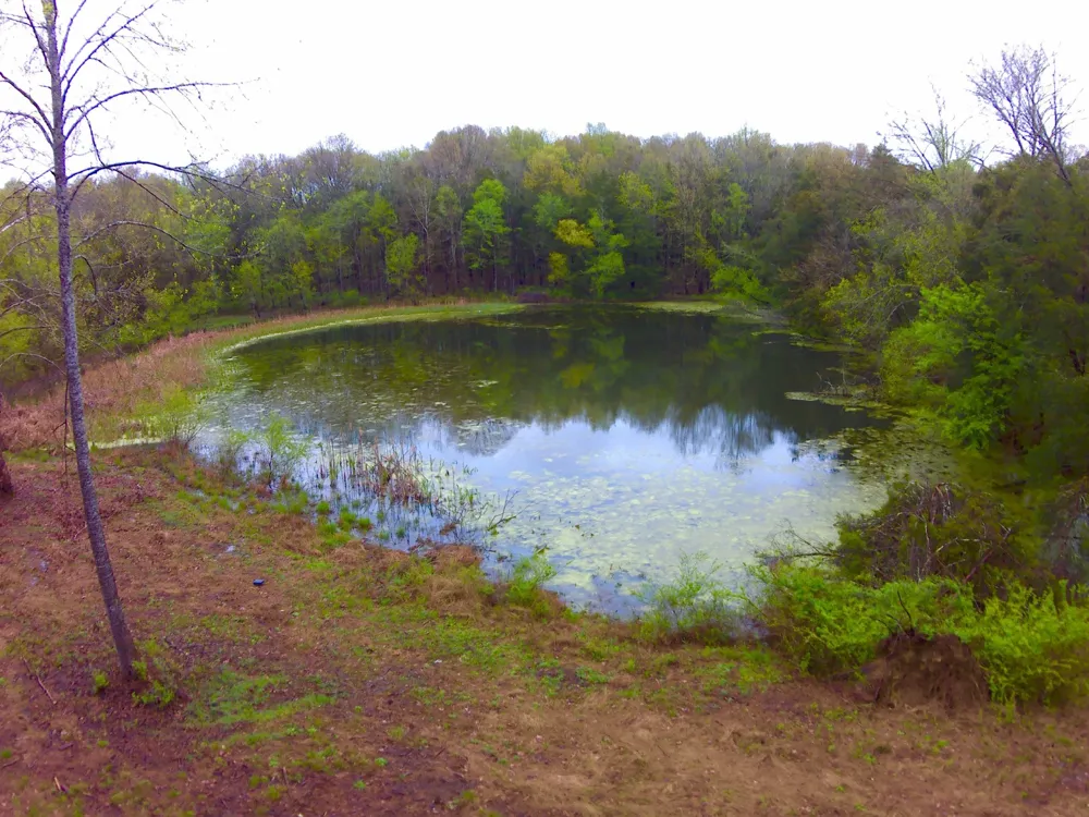 0 Hwy 64 Arnold Rd E Wartrace, TN 37183
