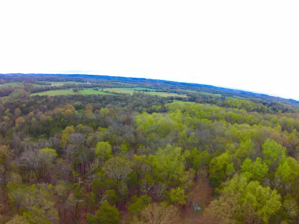 0 Hwy 64 Arnold Rd E Wartrace, TN 37183