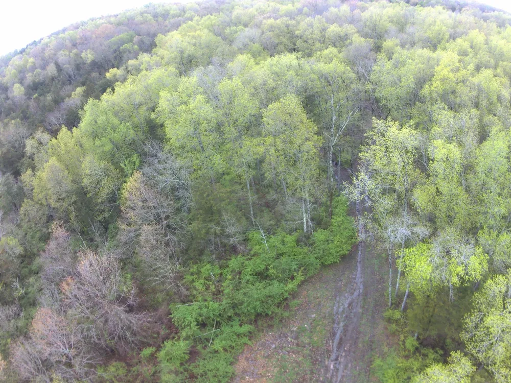 0 Hwy 64 Arnold Rd E Wartrace, TN 37183