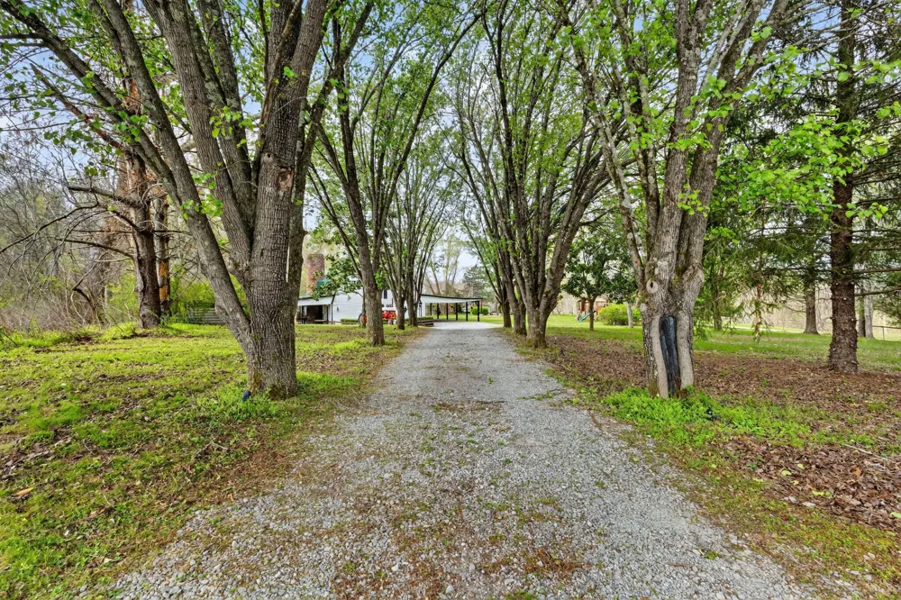 1323 Mount Zion Rd Joelton, TN 37080