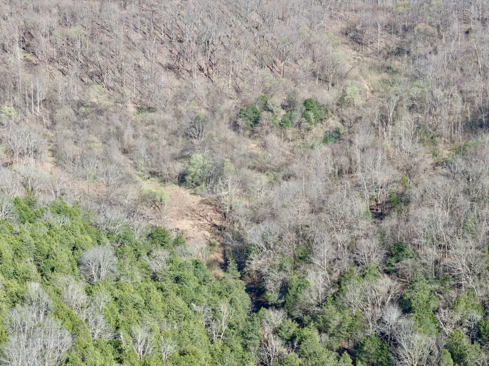 3780 Hurricane Creek Rd Woodbury, TN 37190