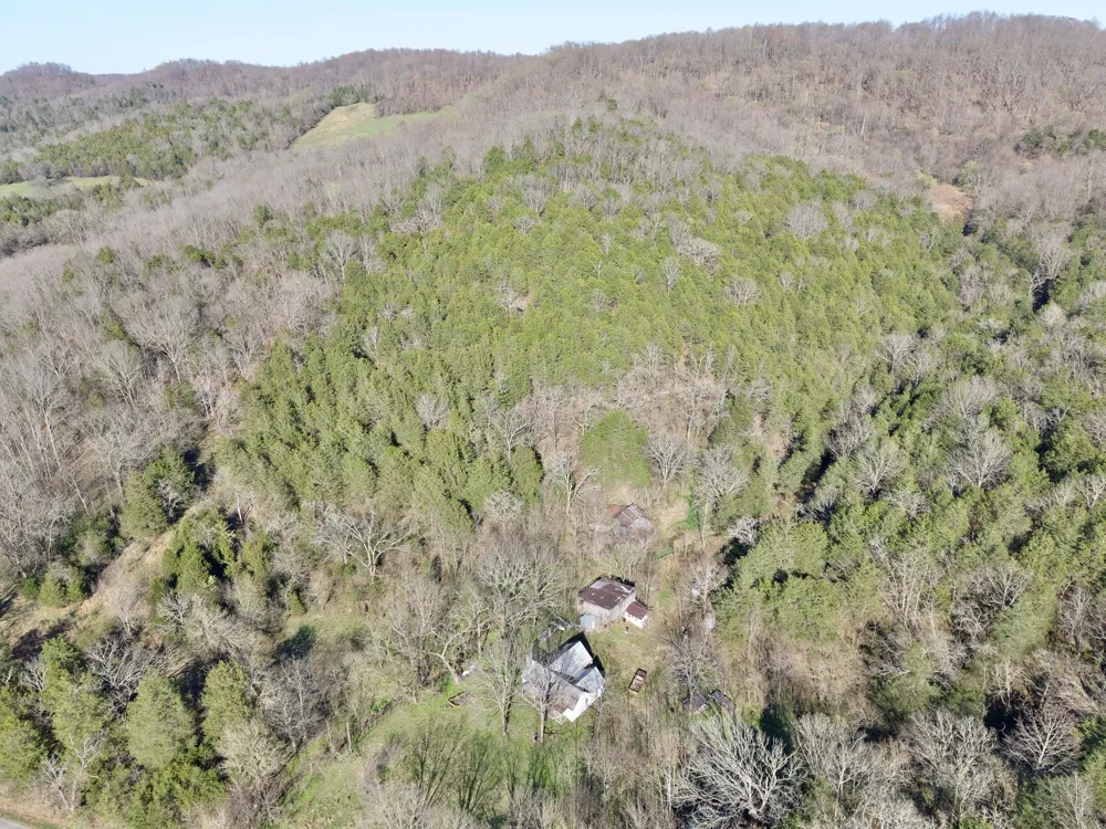 3780 Hurricane Creek Rd Woodbury, TN 37190