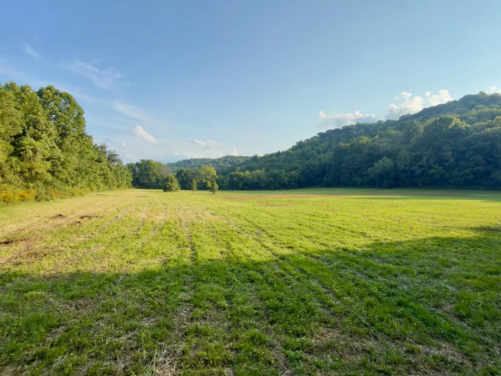 3780 Hurricane Creek Rd Woodbury, TN 37190