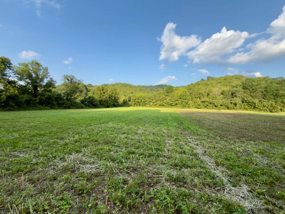 3780 Hurricane Creek Rd Woodbury, TN 37190