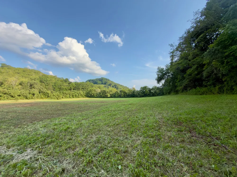 3780 Hurricane Creek Rd Woodbury, TN 37190