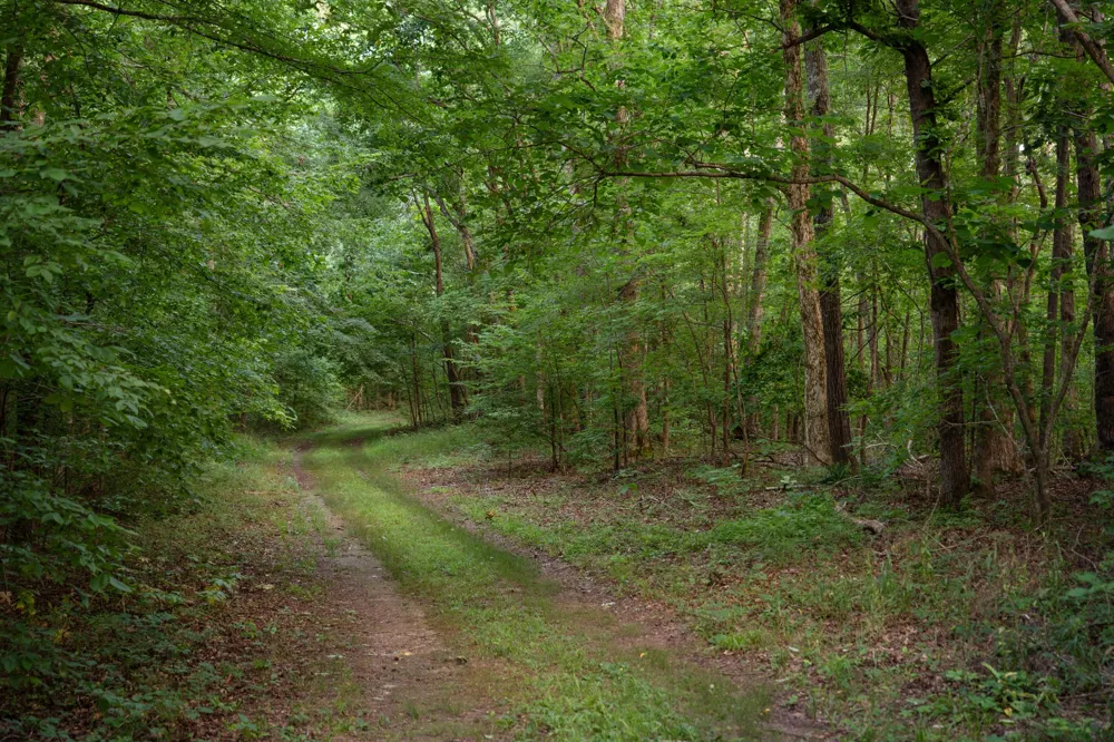 846 R Wilkerson Dr Centerville, TN 37033