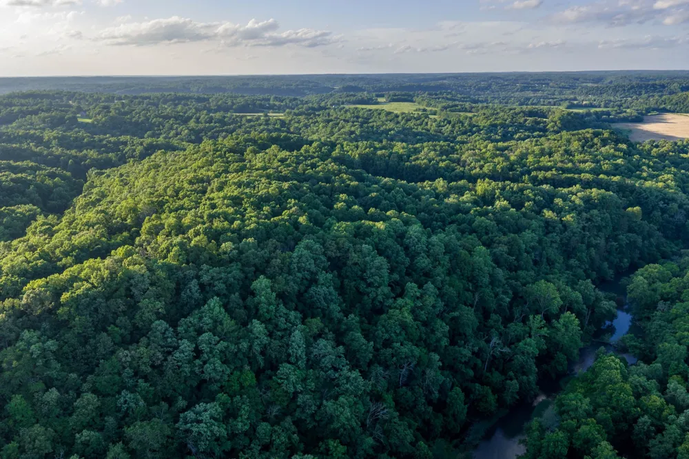 846 R Wilkerson Dr Centerville, TN 37033