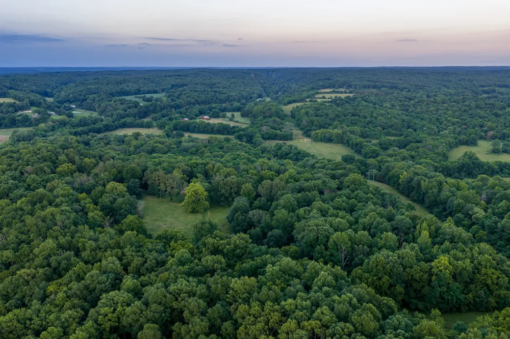 846 R Wilkerson Dr Centerville, TN 37033