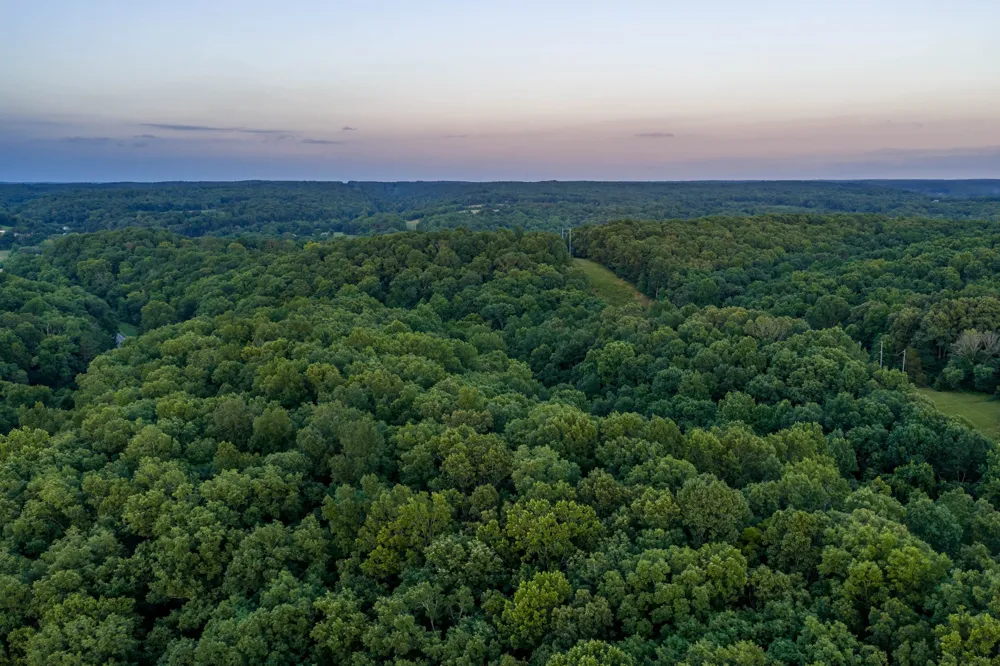 846 R Wilkerson Dr Centerville, TN 37033