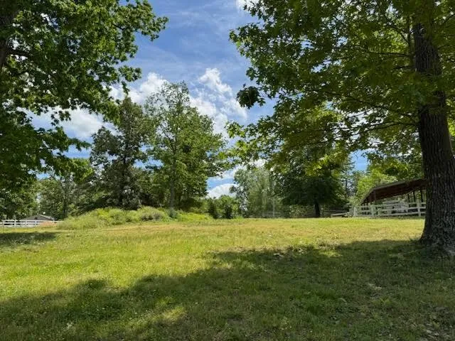 173 Mitchell St Hohenwald, TN 38462