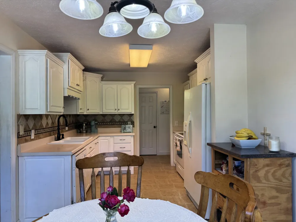 173 Mitchell St Hohenwald, TN 38462