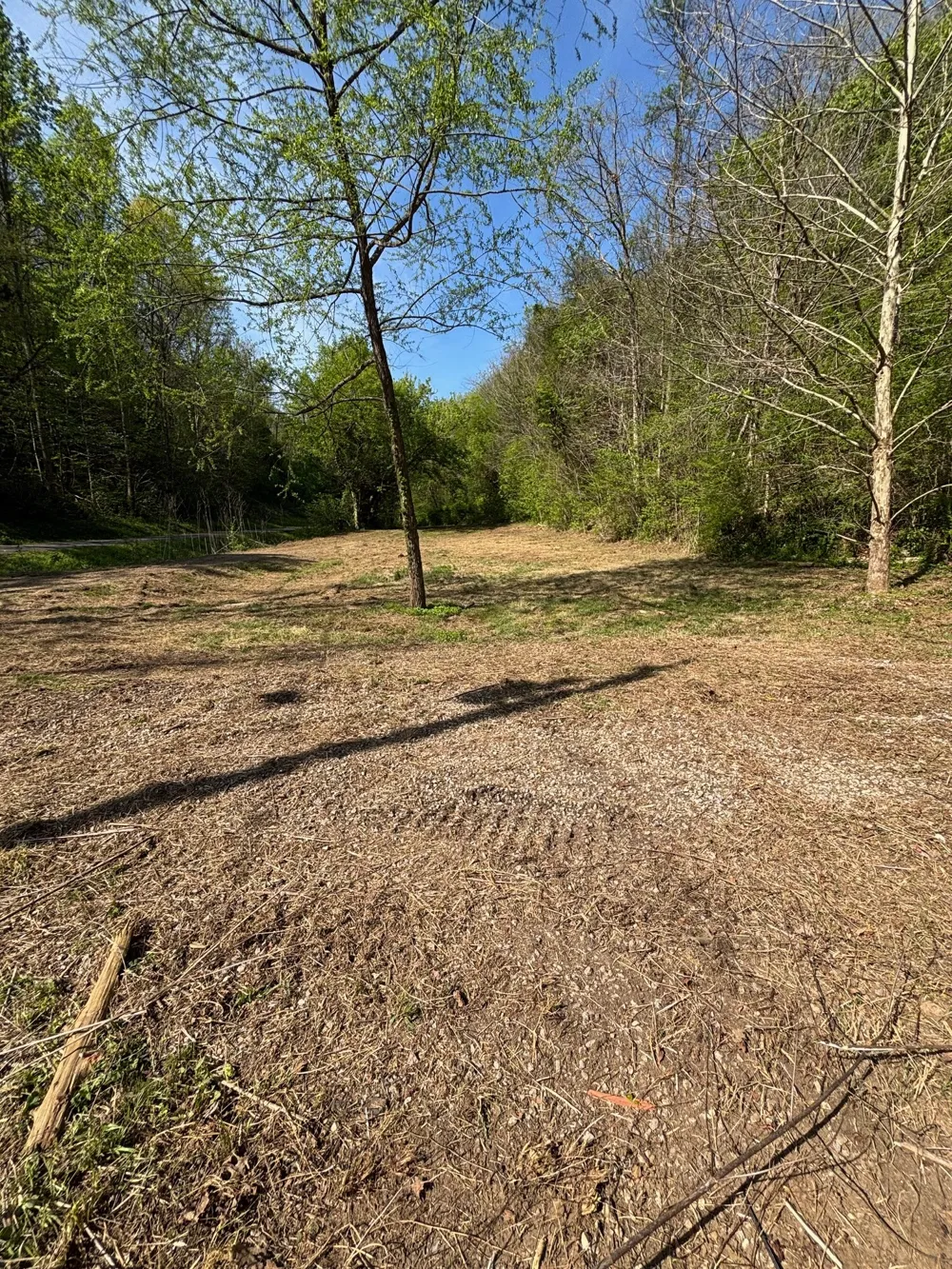 7792 Burks Rd Christiana, TN 37037